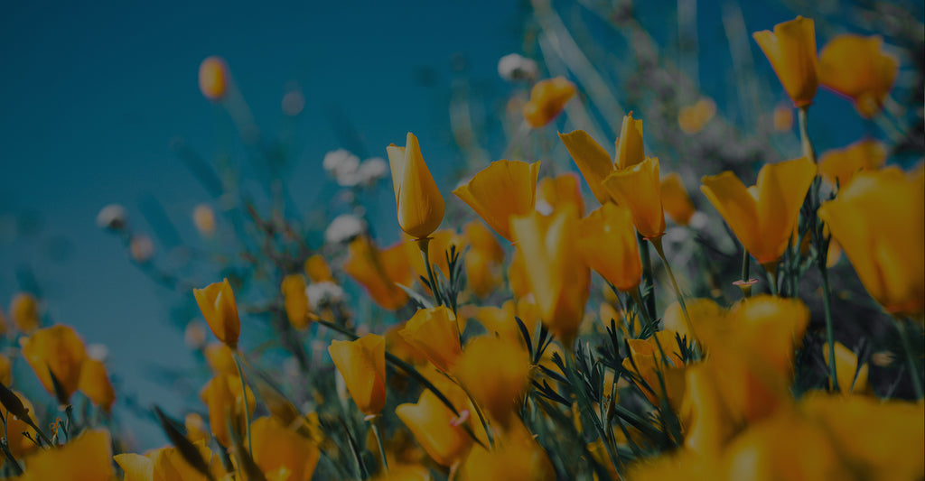 Why Kaftans Are Great for Vacation Wear