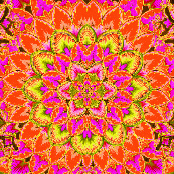 Pink Guinevere Print