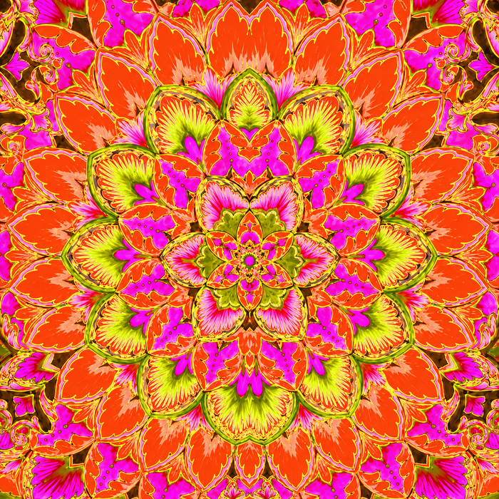 Pink Guinevere Print