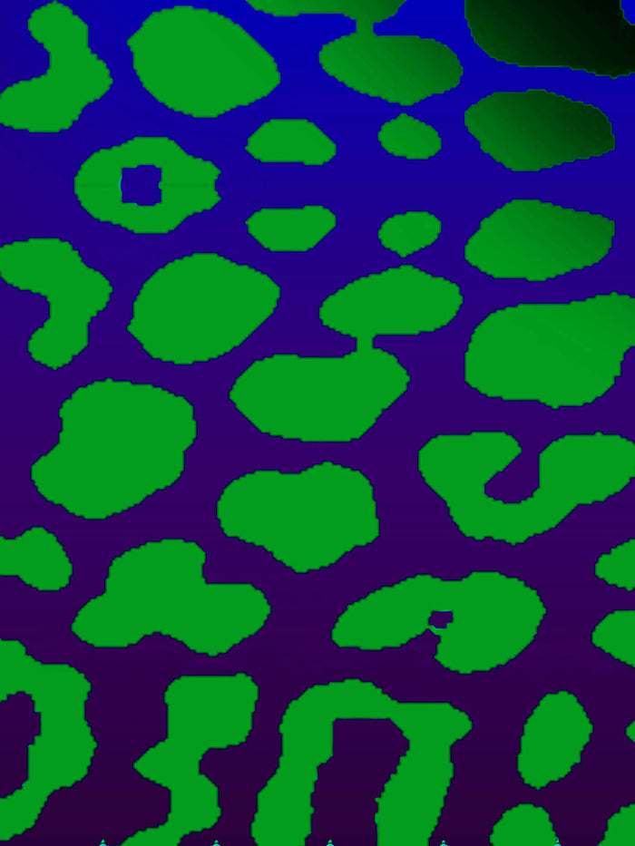 Tori Print