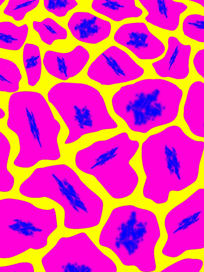 Leonora Print
