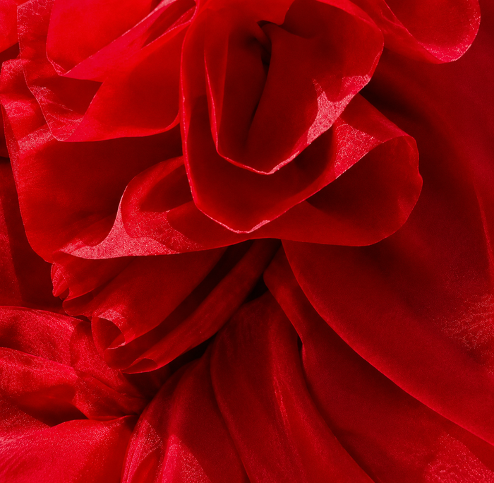 Red Print