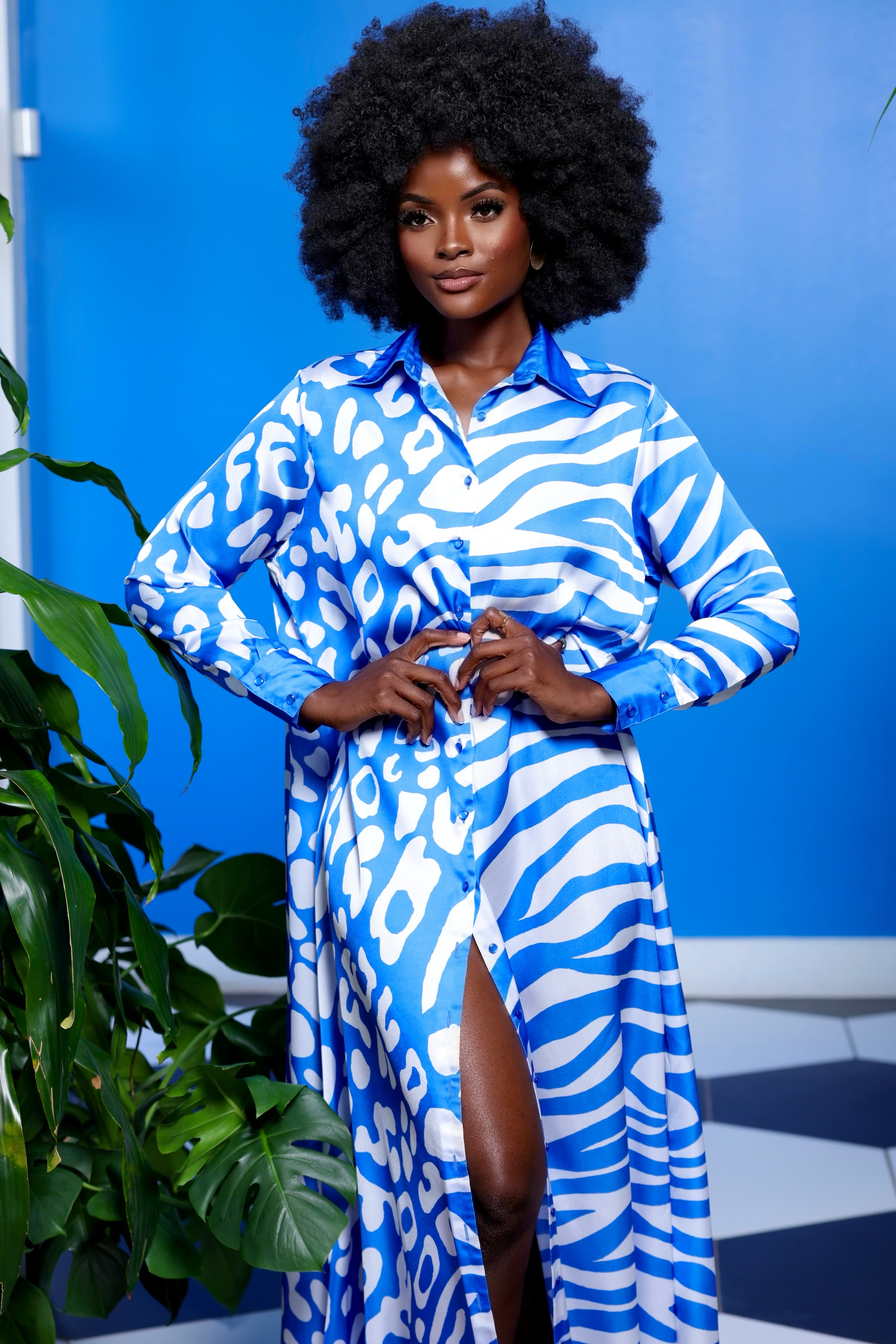 Sandra Shirt Dress