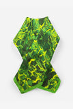 Algeria Scarf