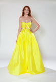 Yellow Soliel Skirt