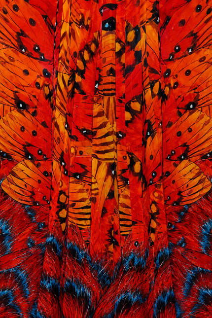 Collection image for: Lynette Print
