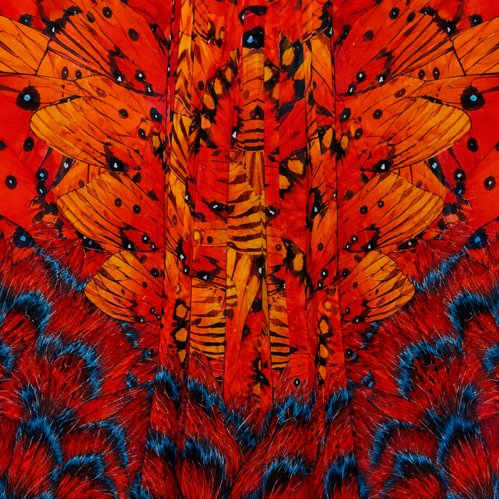 Lynette Print