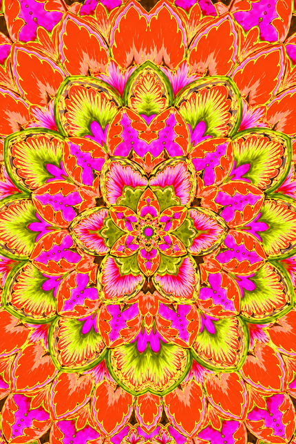 Collection image for: Pink Guinevere Print