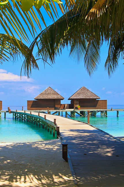 Collection image for: Destination: Maldives