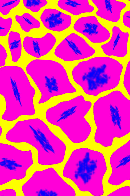 Collection image for: Leonora Print