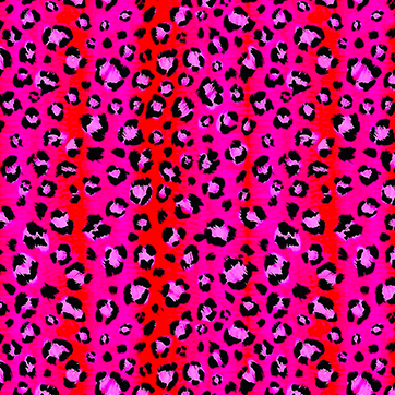 Collection image for: Paloma Print