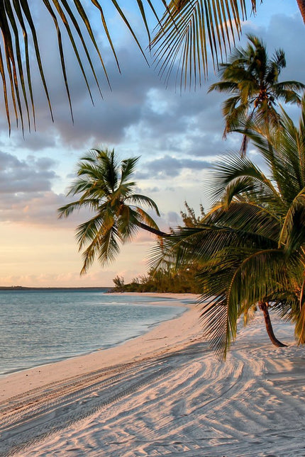Collection image for: Destination: Bahamas