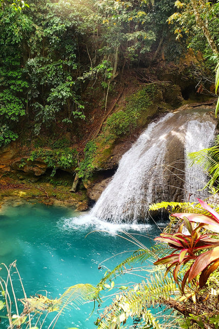 Collection image for: Destination: Jamaica
