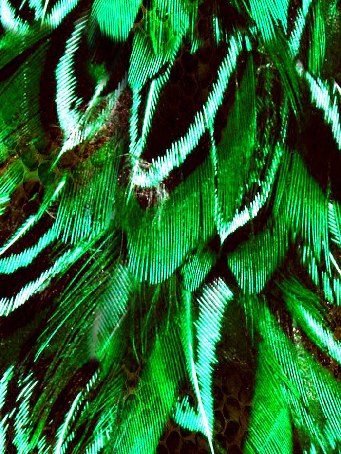 Brazil Print