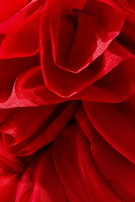 Collection image for: Red Print