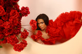 Valentine 2025 collection