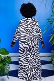 Karmyn Shirt Dress