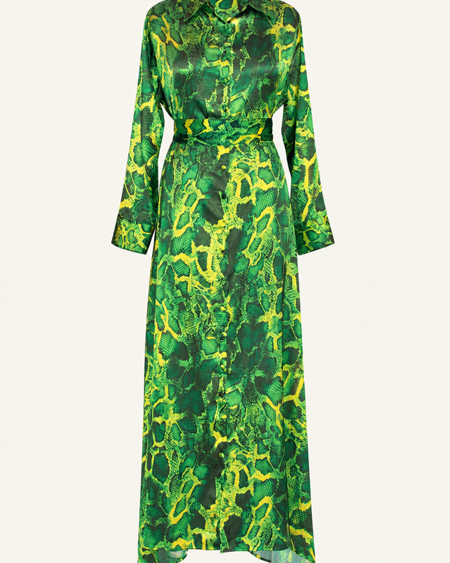 Algeria Shirt Dress