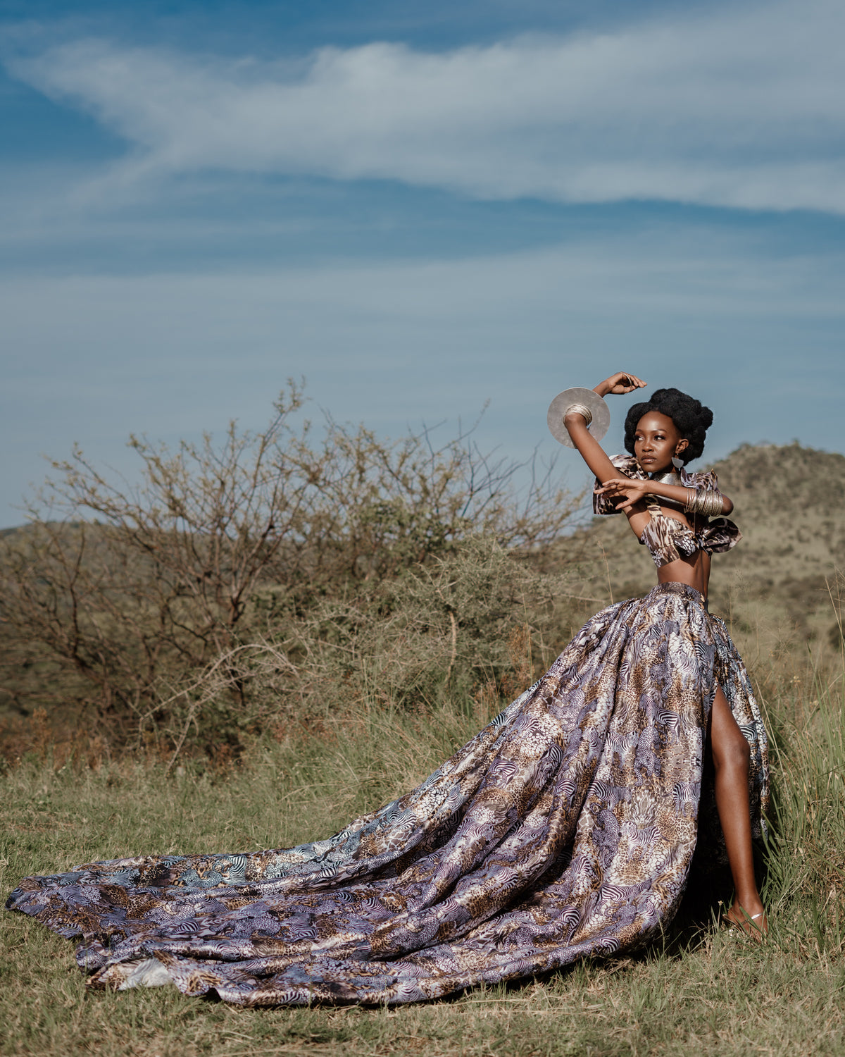 Tales of Serengeti