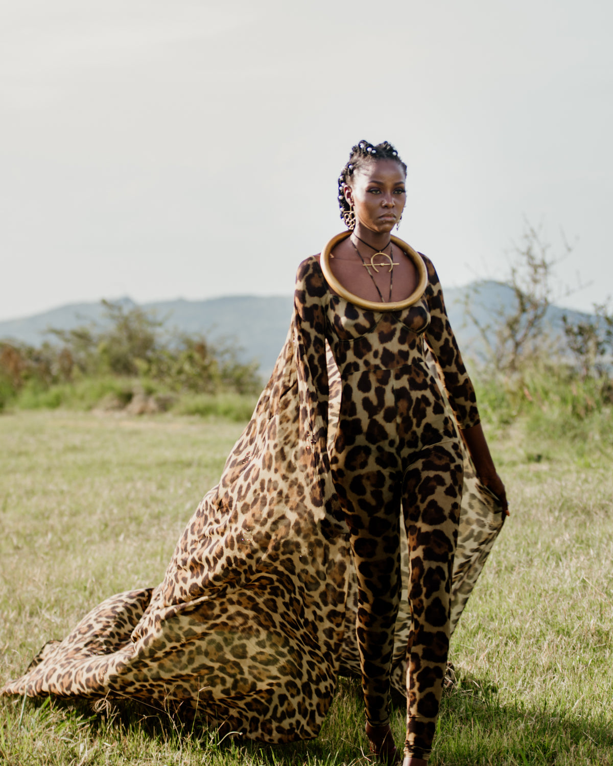 Tales of Serengeti