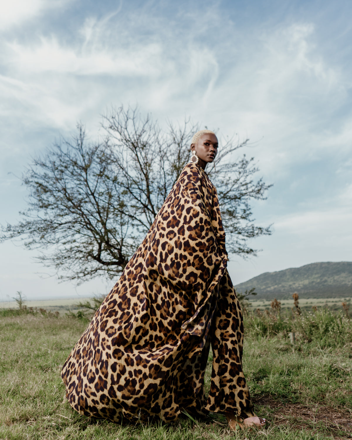 Tales of Serengeti