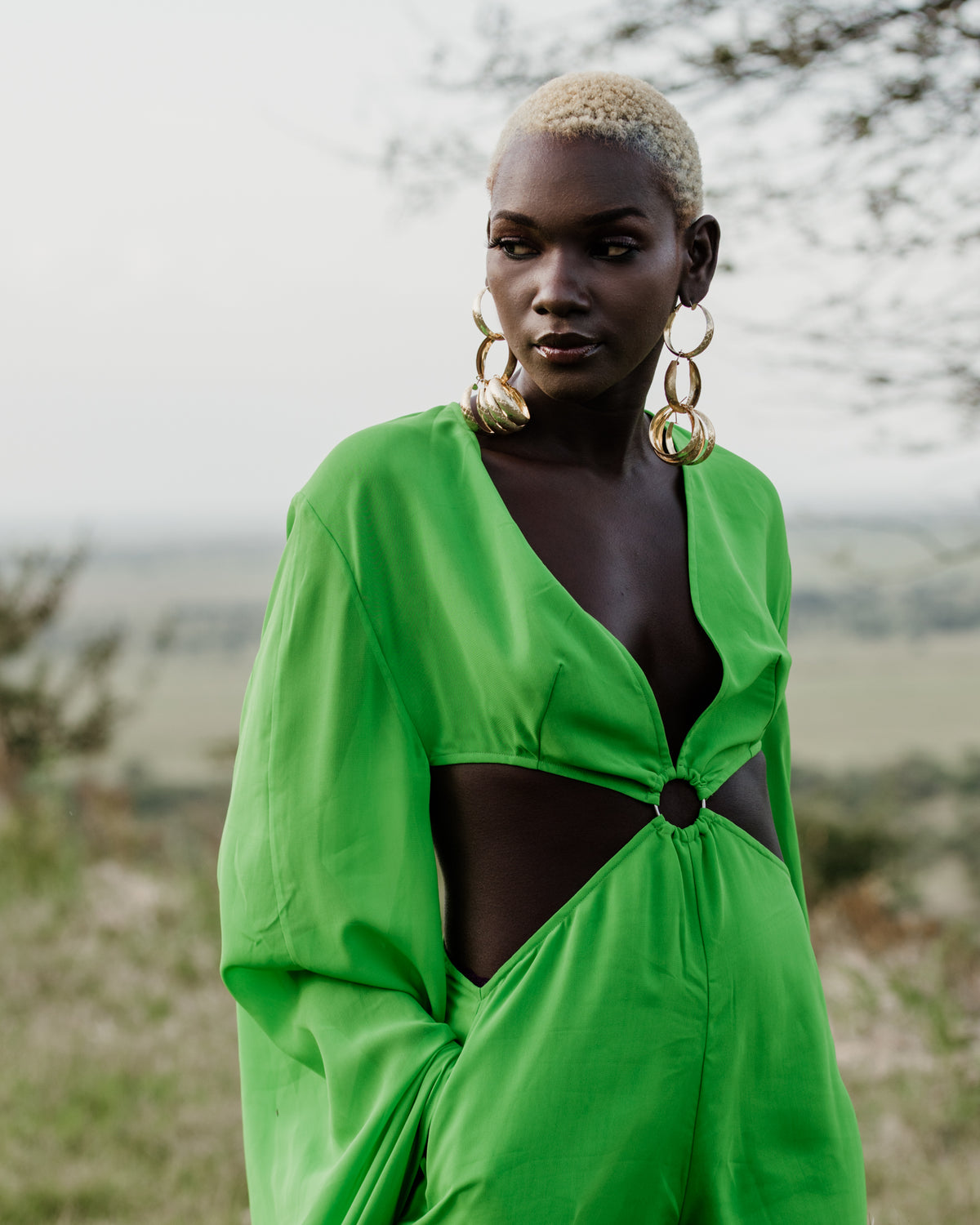 Tales of Serengeti