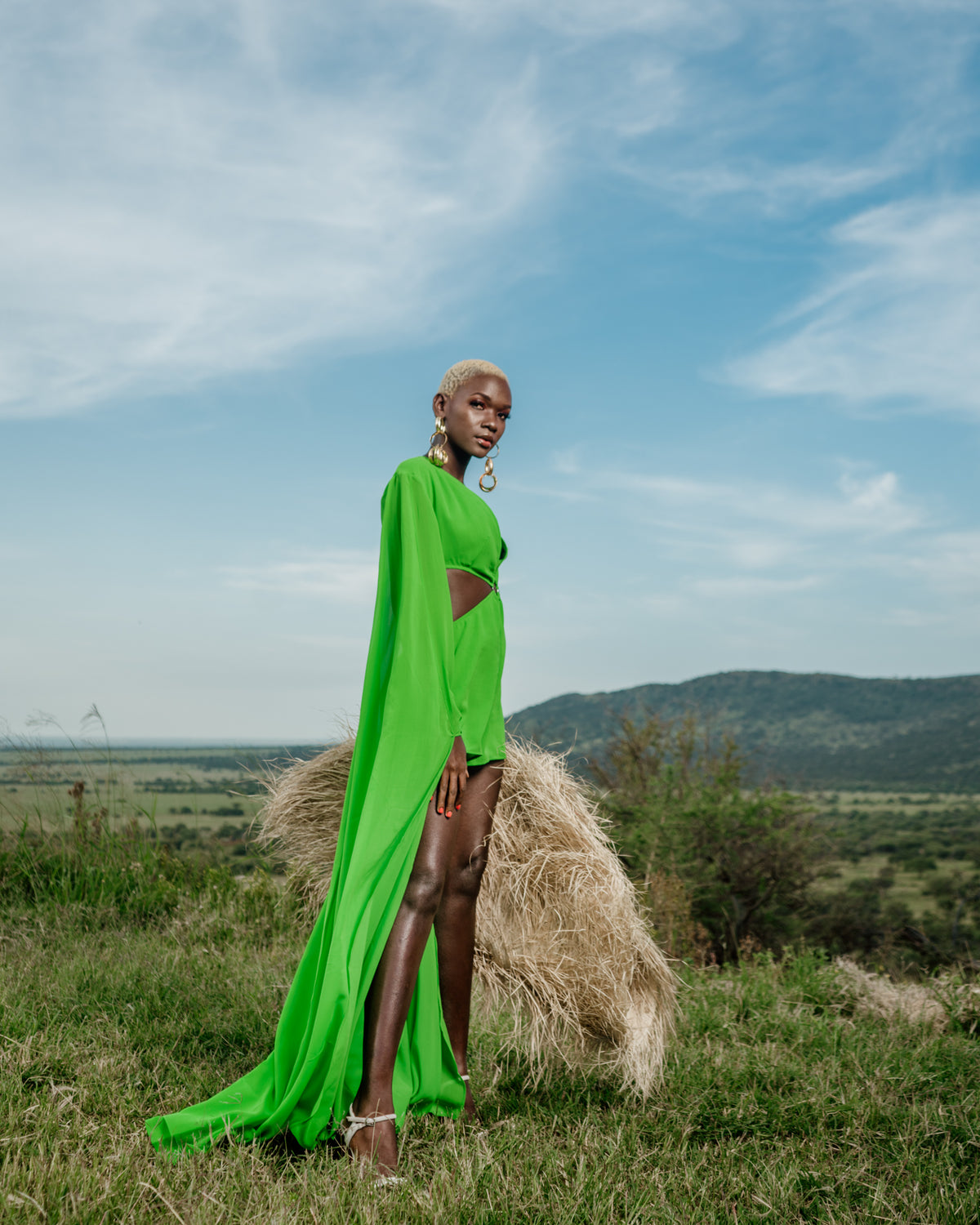 Tales of Serengeti