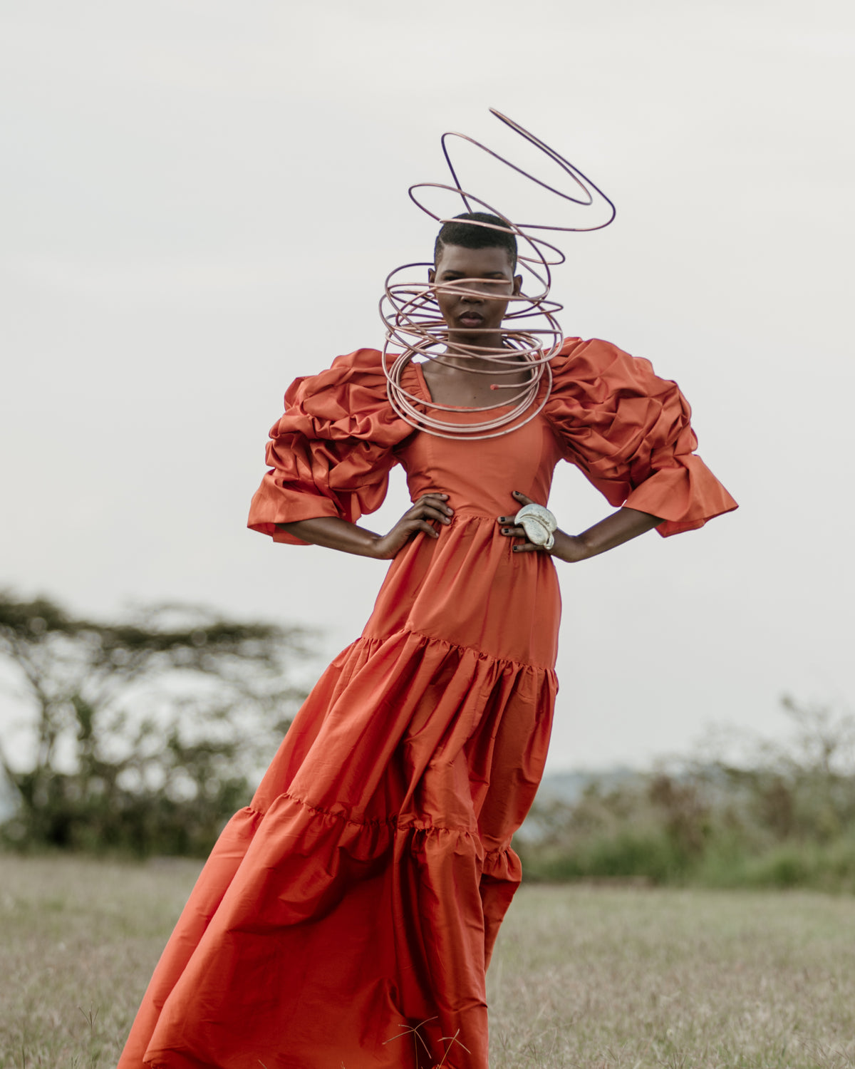 Tales of Serengeti
