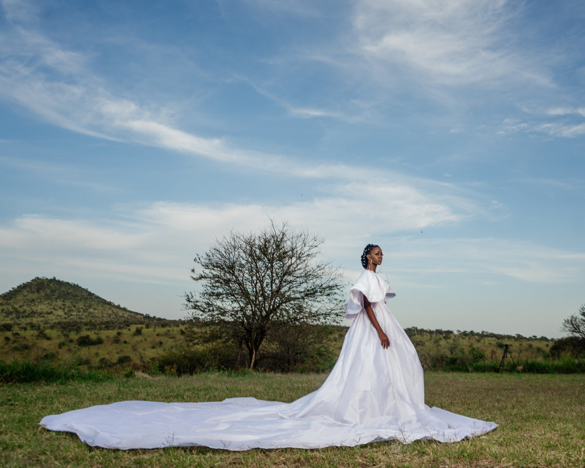 Tales of Serengeti