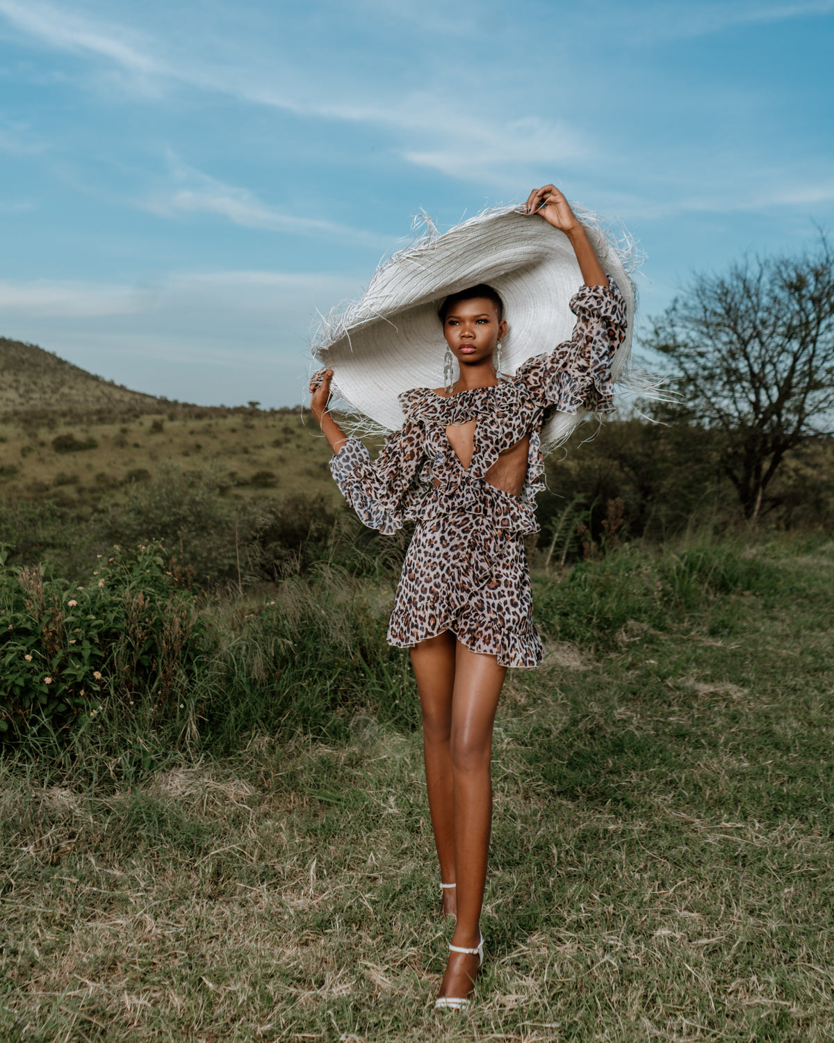 Tales of Serengeti