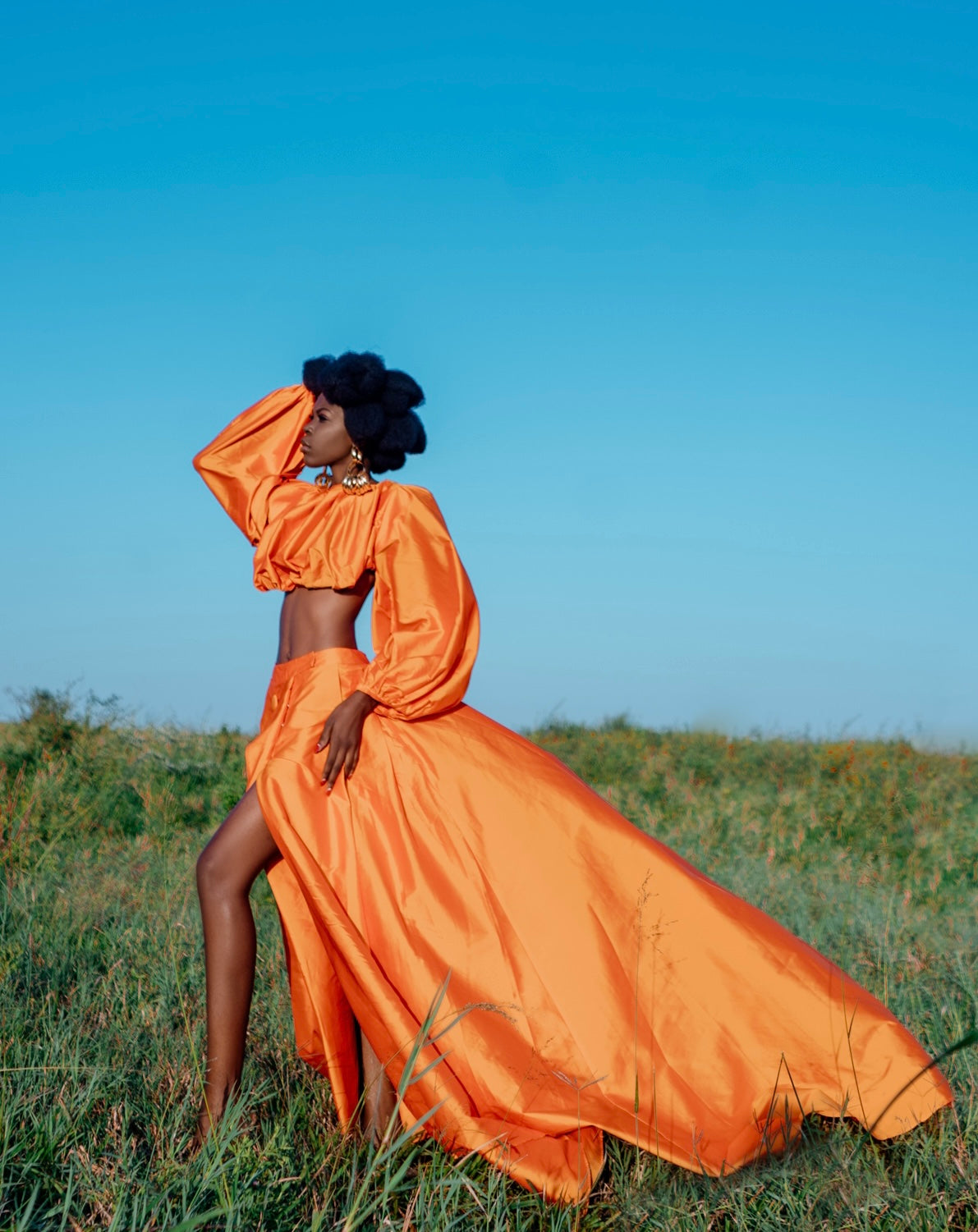 Tales of Serengeti