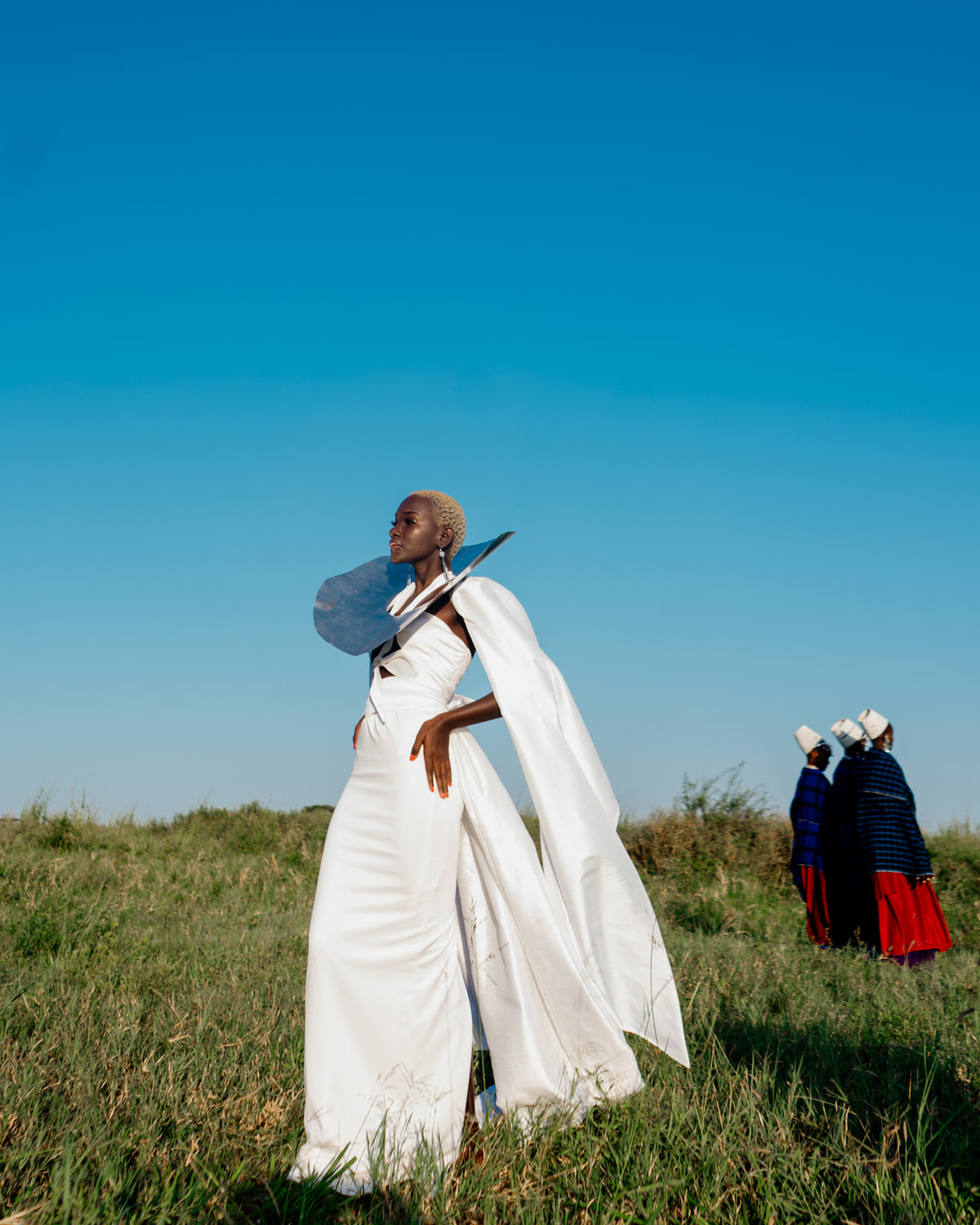 Tales of Serengeti