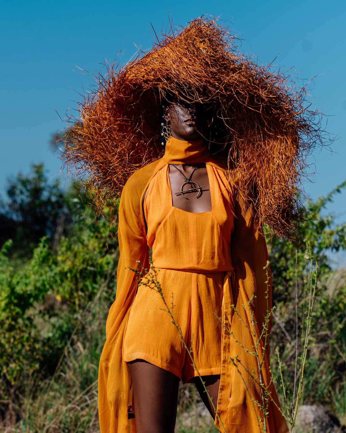 Tales of Serengeti