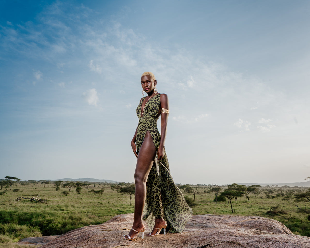 Tales of Serengeti