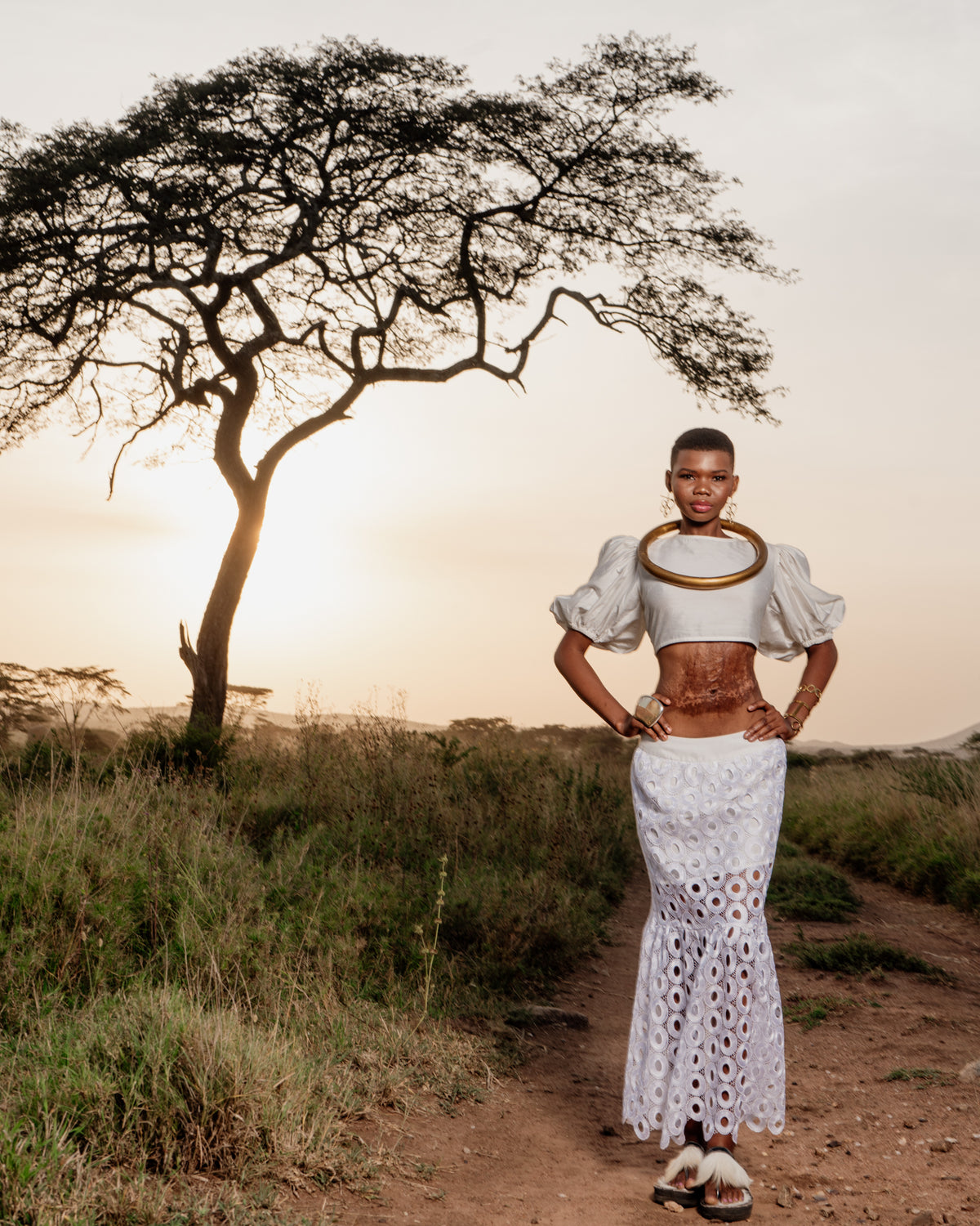 Tales of Serengeti